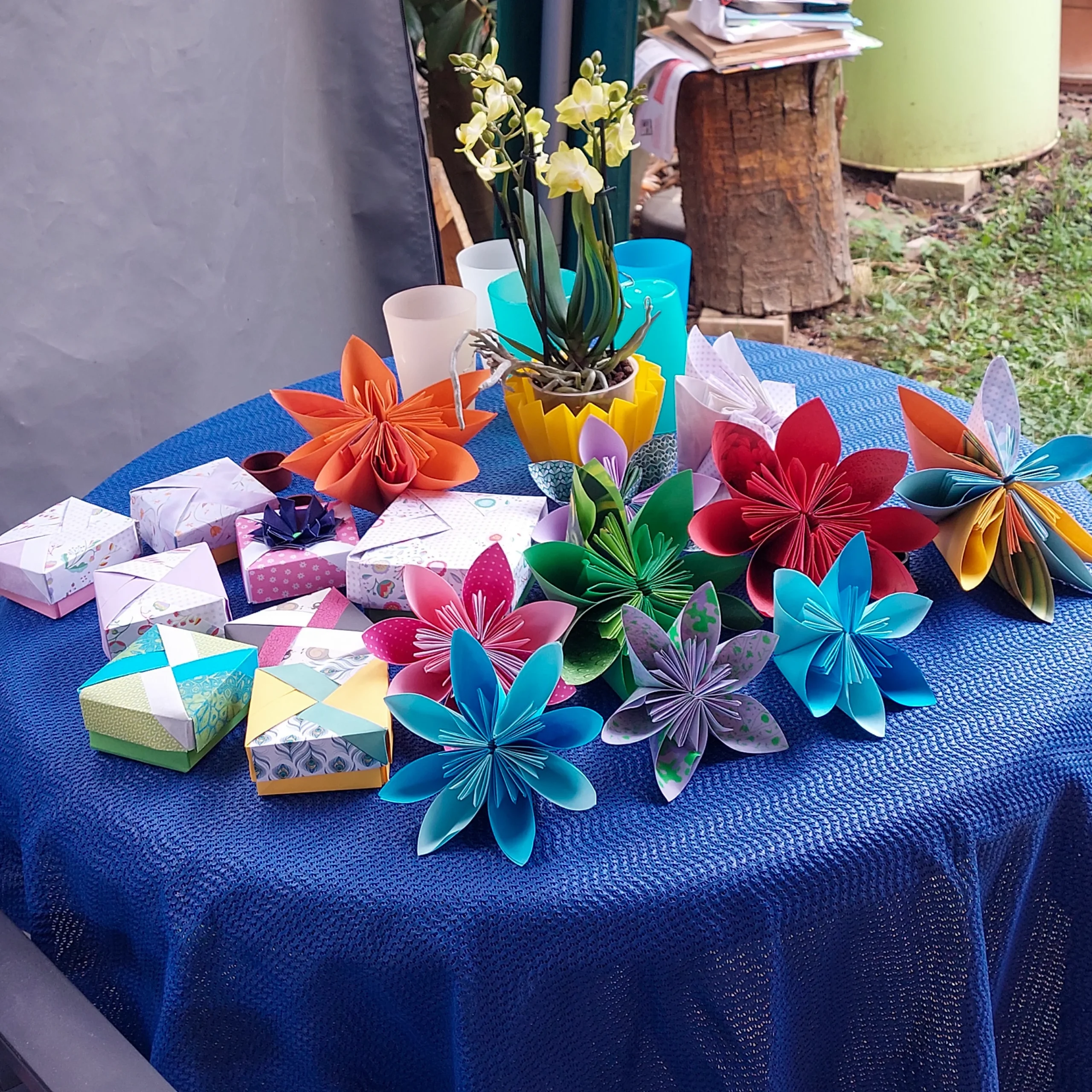 ogv_origami_2026_001